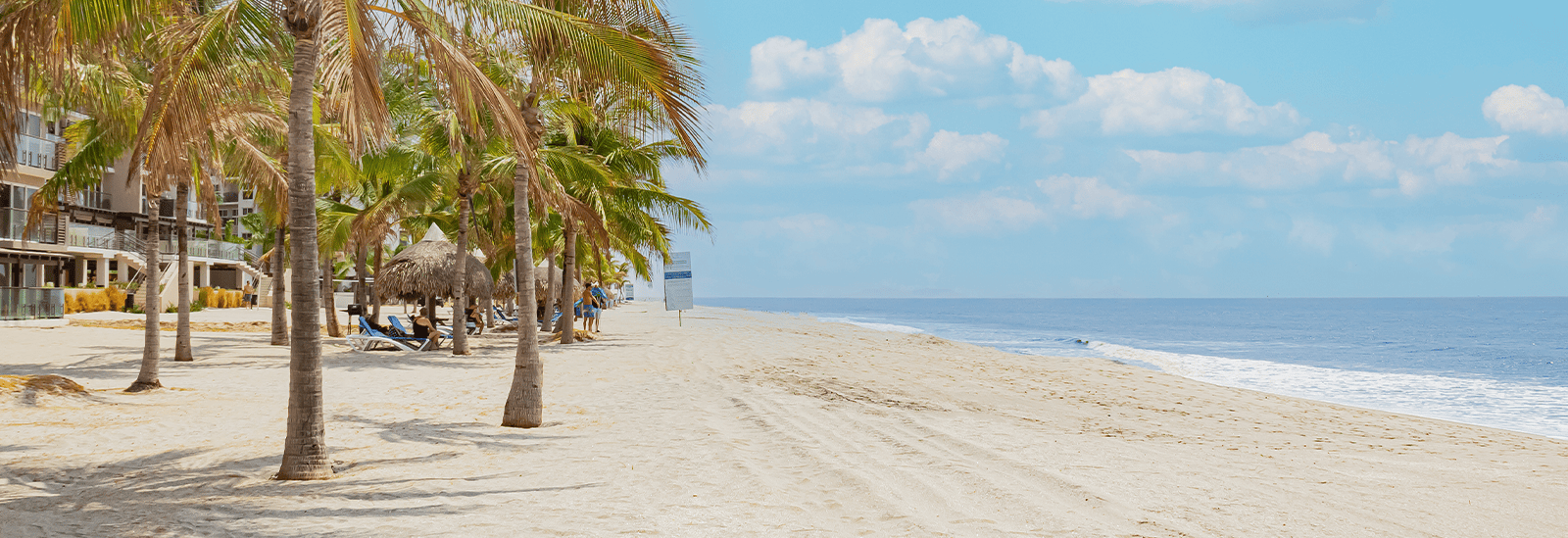 playa caracol beach sky palmers